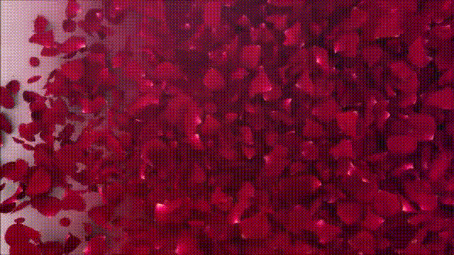 *VALENTINE ZAHLSCHWANZMELKUNG*